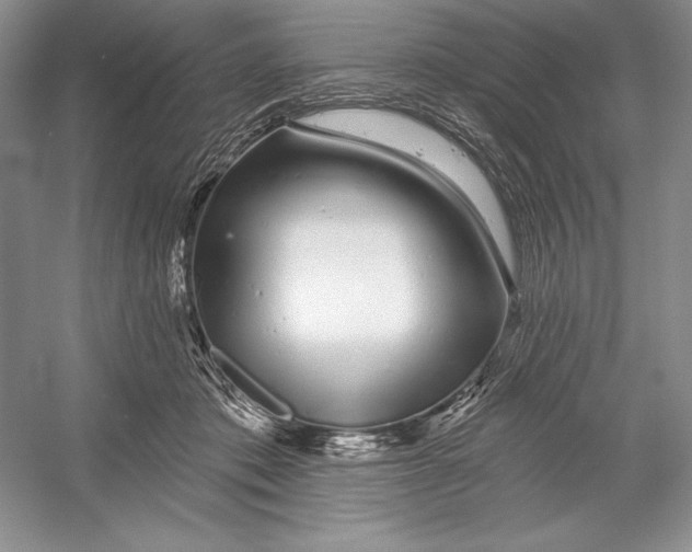 X0000052960413200508050953