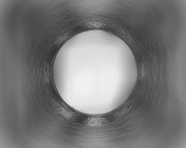 X0000052960414200508050953