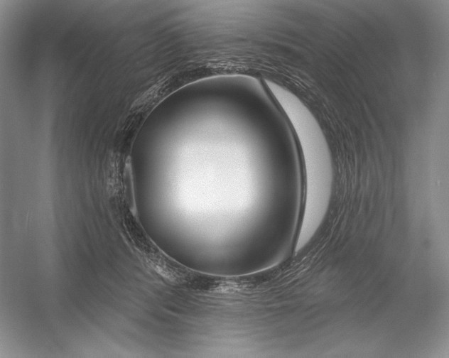 X0000052960416200508050953