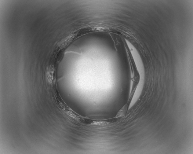 X0000052960417200508050953