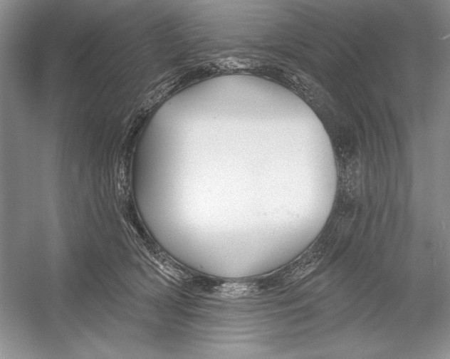 X0000052960418200508050953