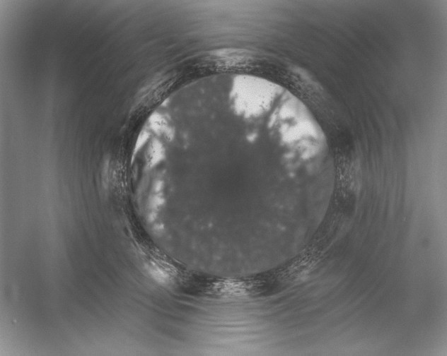 X0000052960419200508050953