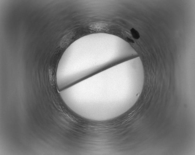 X0000052960420200508050953