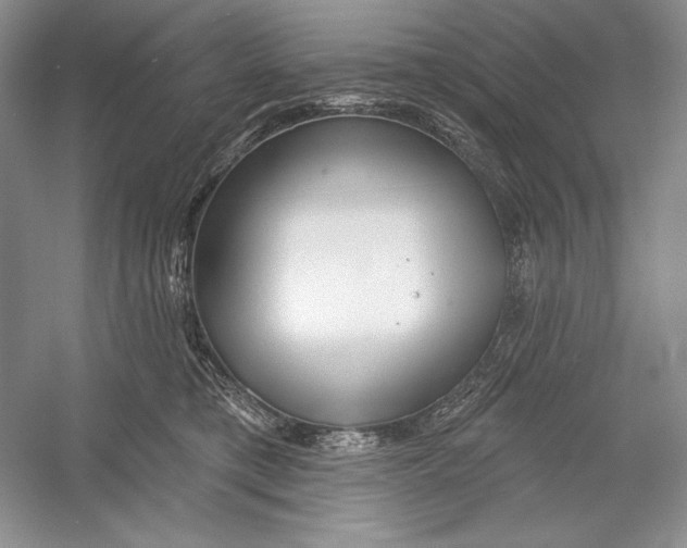X0000052960421200508050953