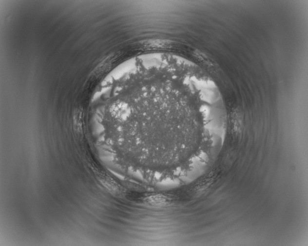 X0000052960423200508050953