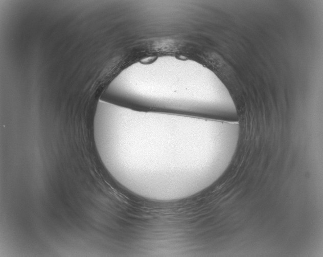 X0000052960424200508050953