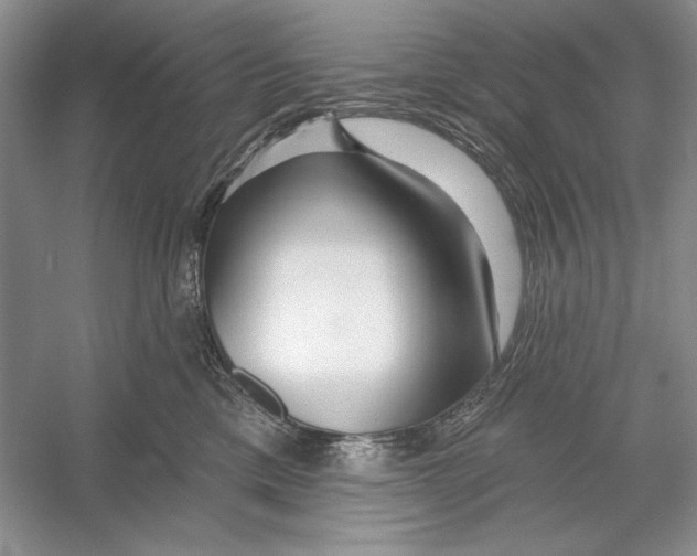 X0000052960425200508050953