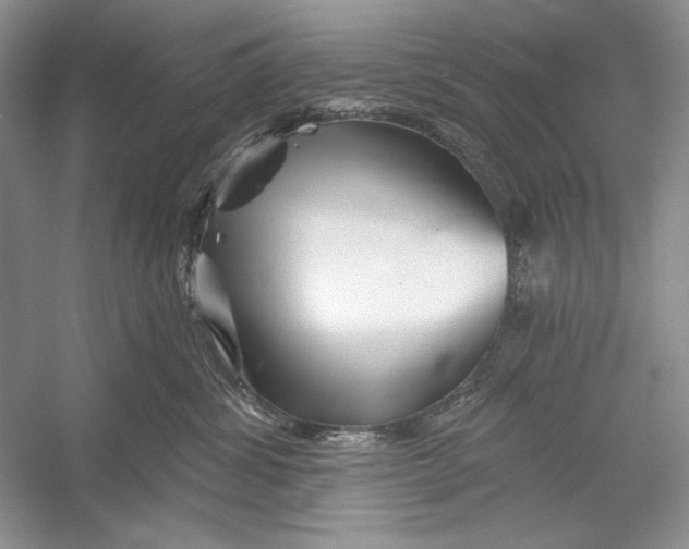 X0000052960428200508050953