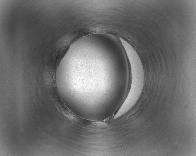 X0000052960429200508050953