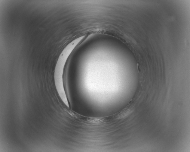 X0000052960432200508050953