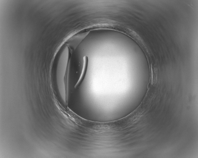 X0000052960435200508050952
