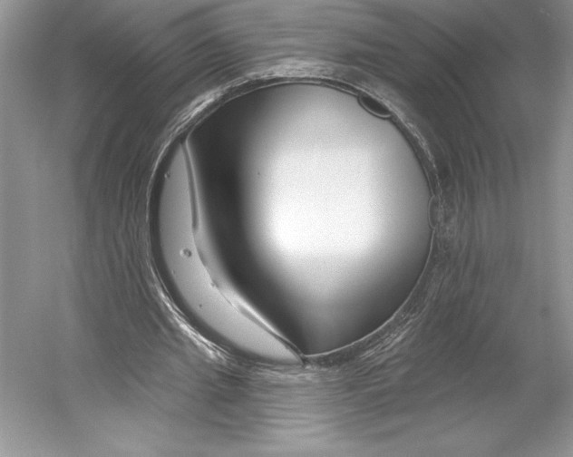 X0000052960437200508050952