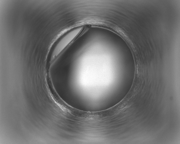 X0000052960438200508050952