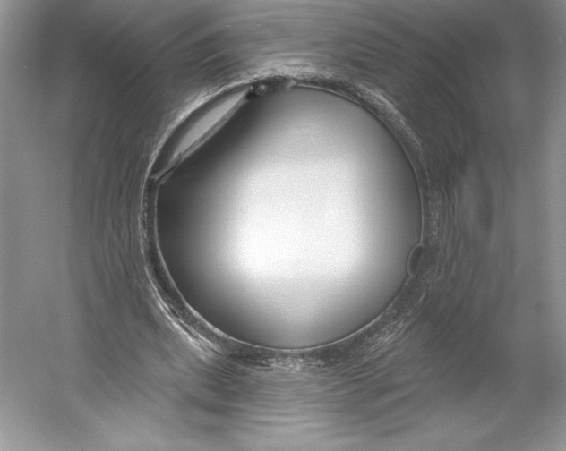 X0000052960439200508050952