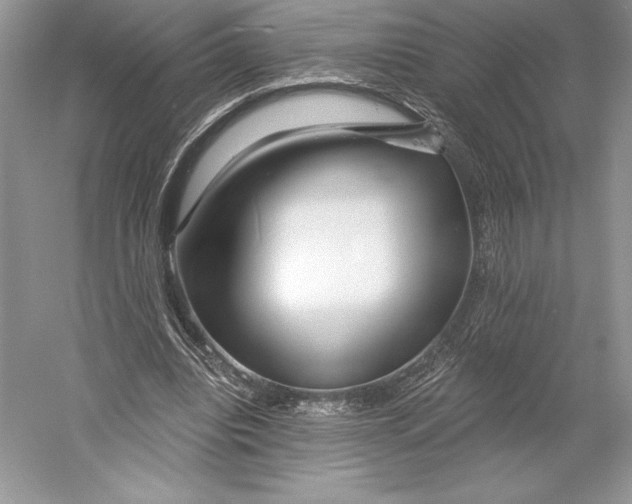 X0000052960440200508050952