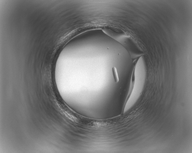 X0000052960442200508050952