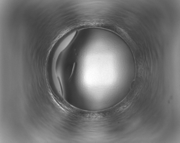 X0000052960443200508050952