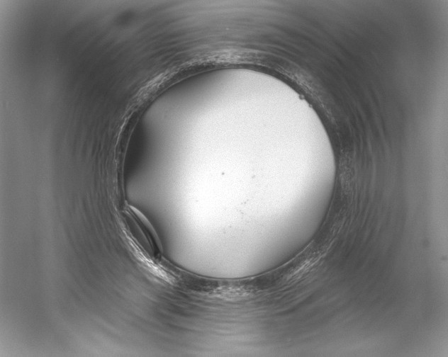 X0000052960445200508050952