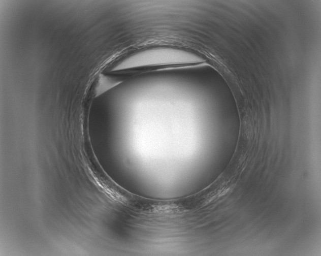 X0000052960446200508050952