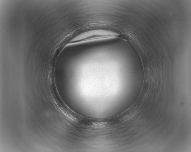 X0000052960450200508050952