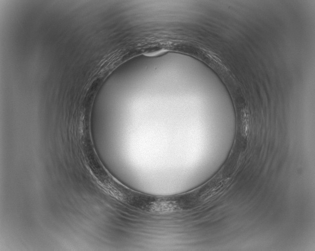 X0000052960451200508050953