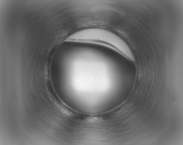X0000052960453200508050953