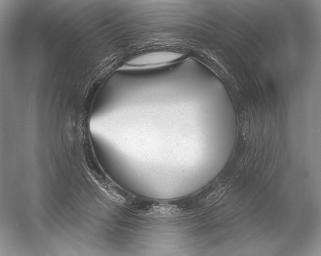 X0000052960455200508050953