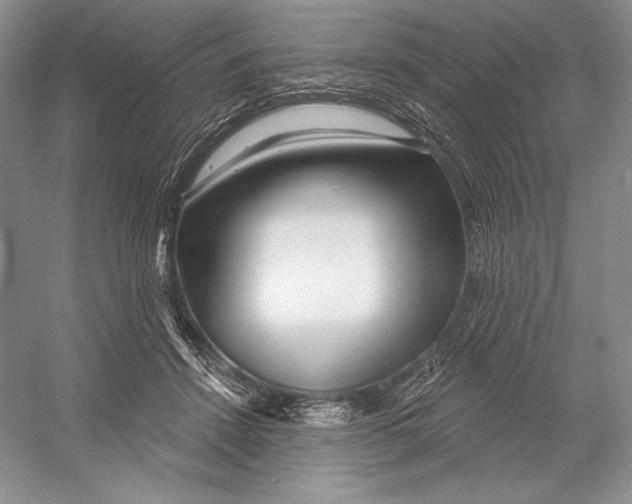 X0000052960456200508050953