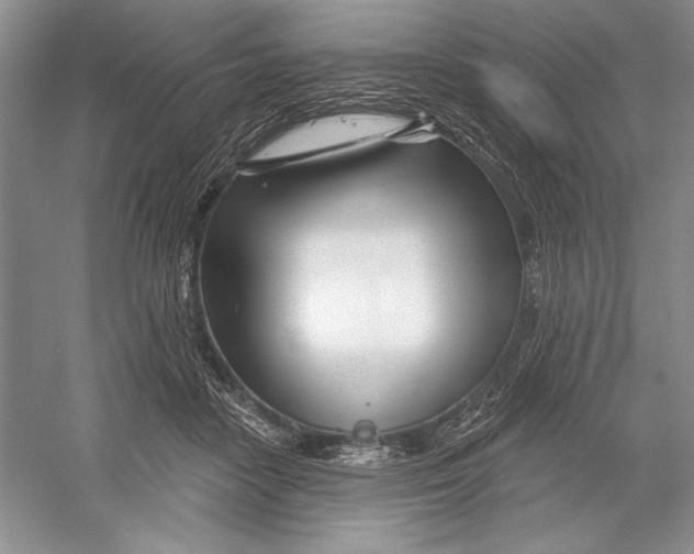 X0000052960458200508050953