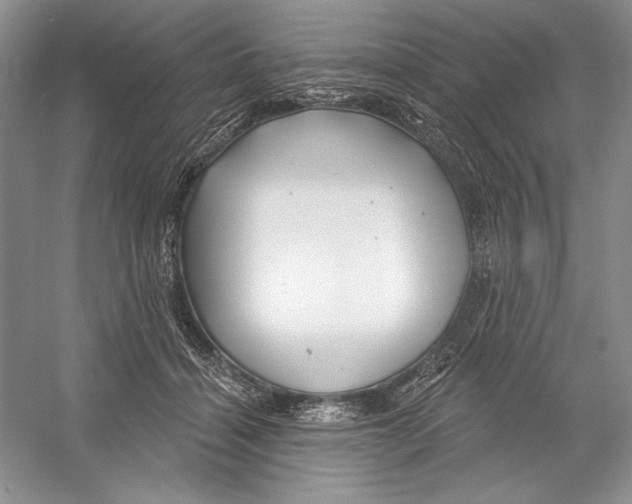 X0000052960460200508050953