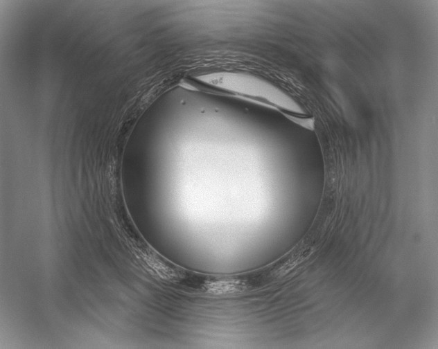 X0000052960461200508050953