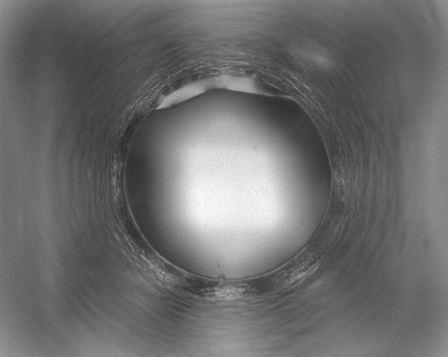 X0000052960462200508050953