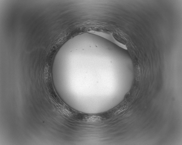 X0000052960463200508050953