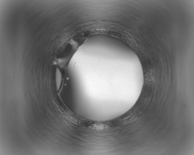 X0000052960464200508050953