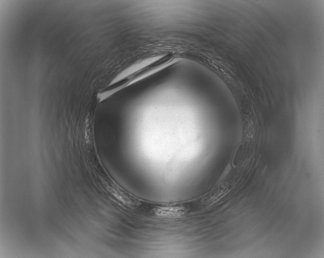 X0000052960465200508050953