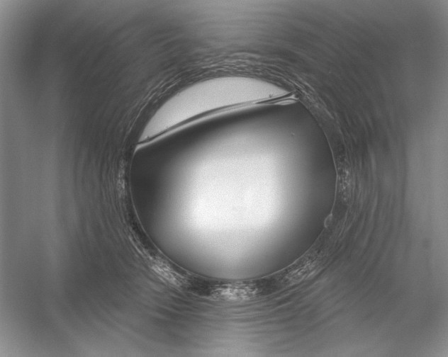 X0000052960466200508050953