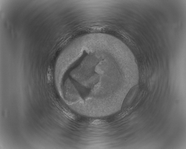 X0000052960467200508050953