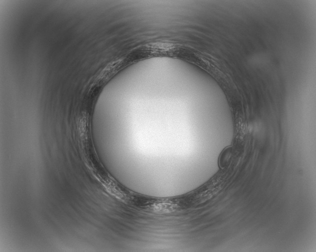 X0000052960468200508050953