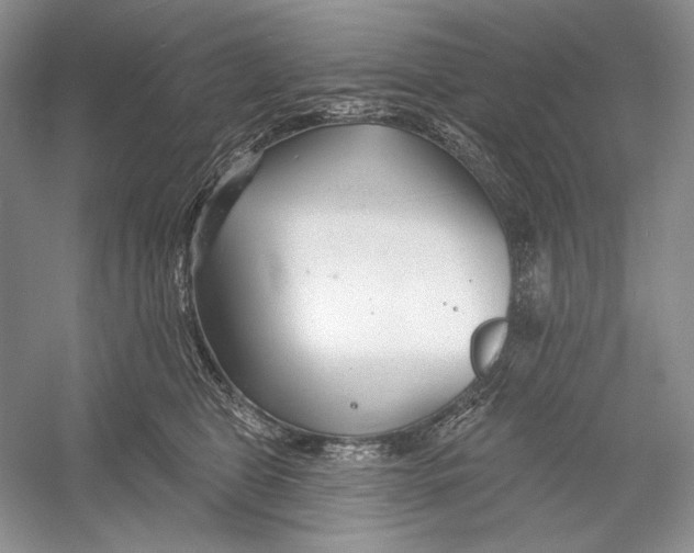 X0000052960469200508050953