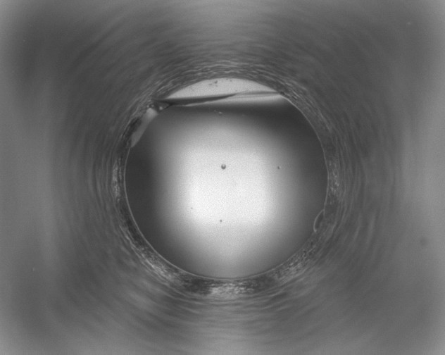 X0000052960470200508050953
