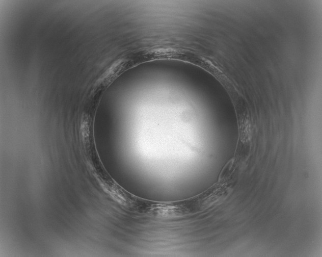 X0000052960472200508050953