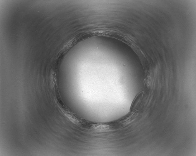 X0000052960476200508050953