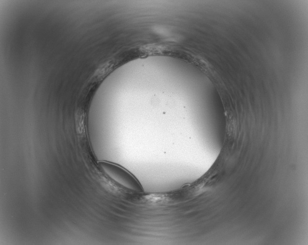 X0000052960477200508050953