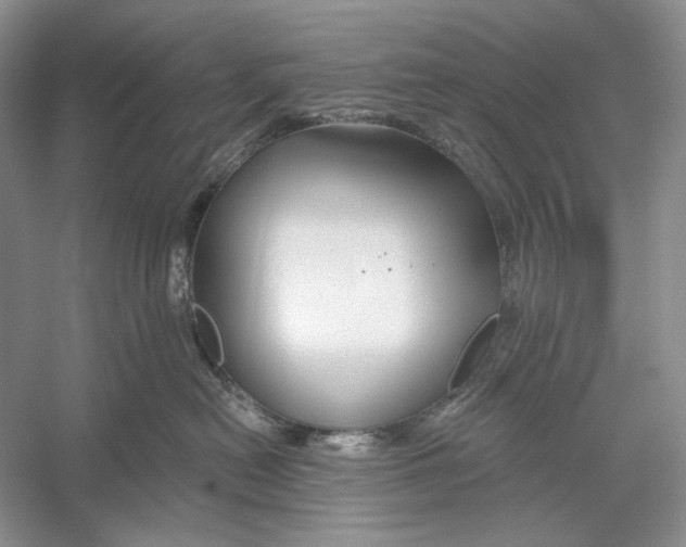 X0000052960478200508050953