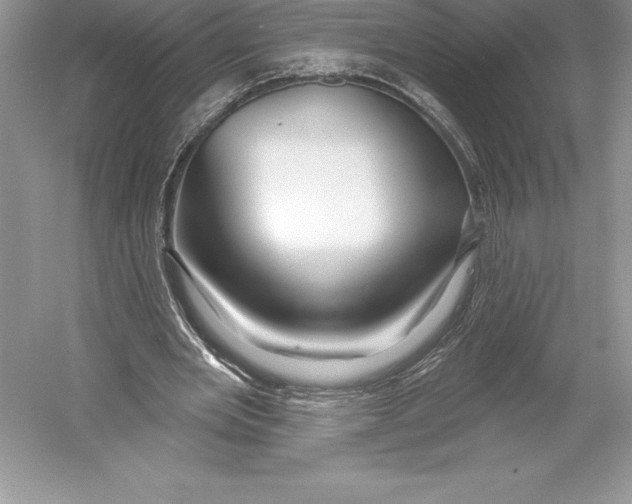 X0000052960485200508050952