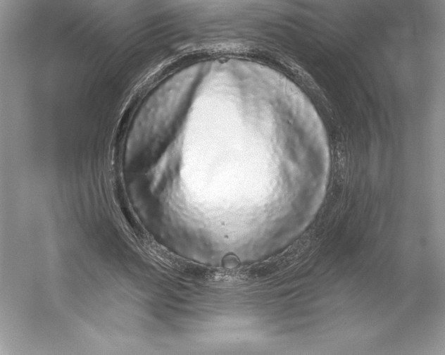 X0000052960487200508050952