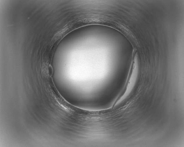 X0000052960489200508050952