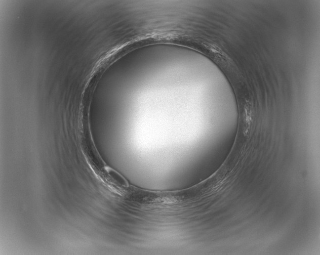 X0000052960492200508050952