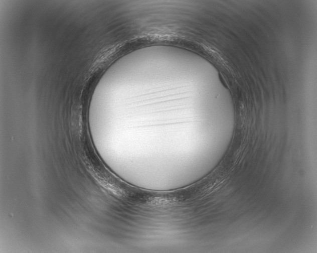 X0000052960494200508050952