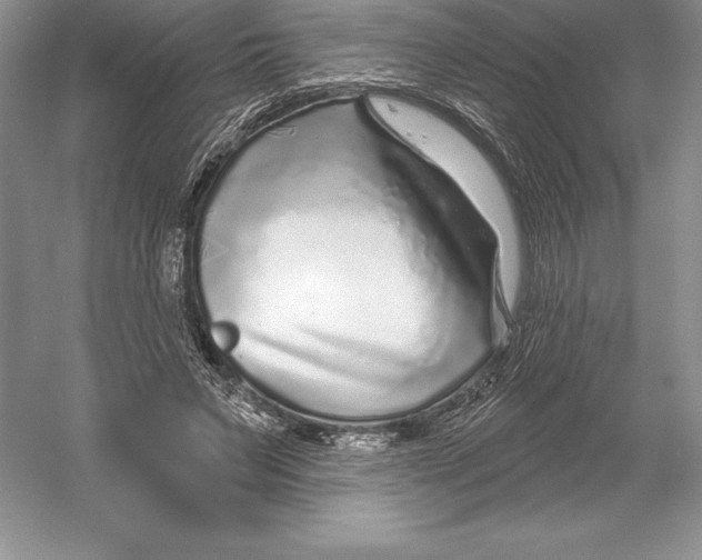 X0000052960495200508050952